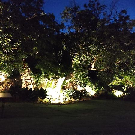 La Huerta De Bonela Villa Casarabonela Exteriör bild